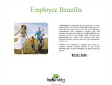 Tablet Screenshot of benefits.bdsmarketing.com